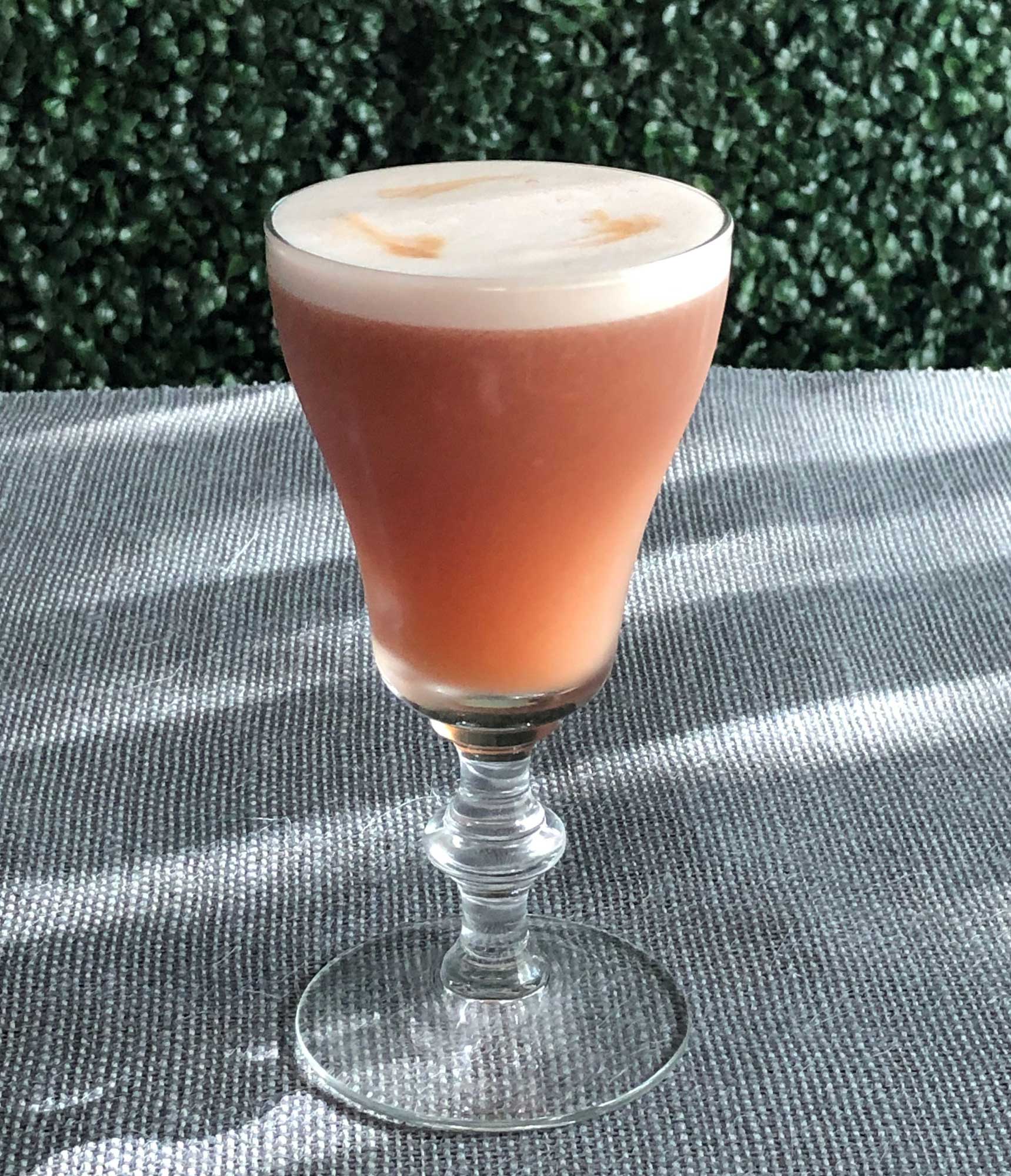 An example of the Damson-Pisco Sour, the mixed drink (sour) featuring Averell Damson Plum Gin Liqueur, pisco, egg white, lime juice, agave nectar, and Amargo Chuncho; photo by Lee Edwards