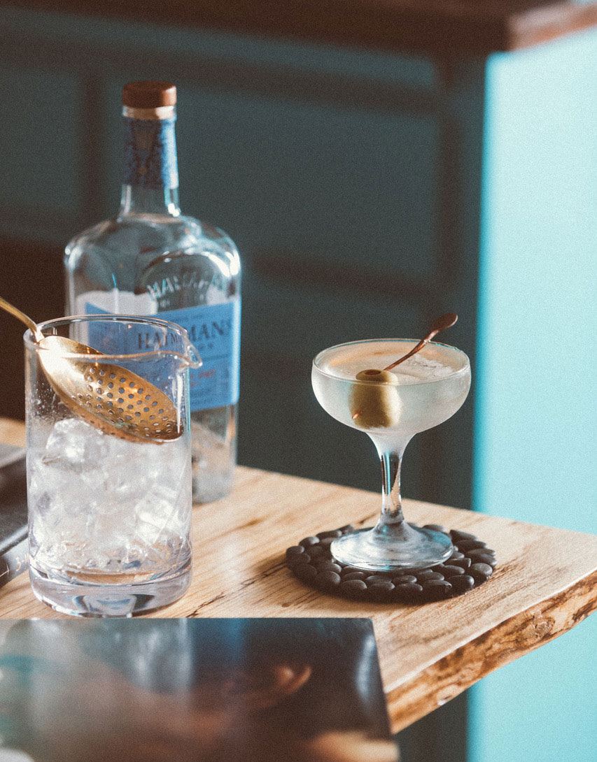 An example of the The 50/50 Martini, the mixed drink (cocktail) featuring Hayman’s London Dry Gin, Dolin Dry Vermouth de Chambéry, and orange bitters; photo by S. Kallstrand