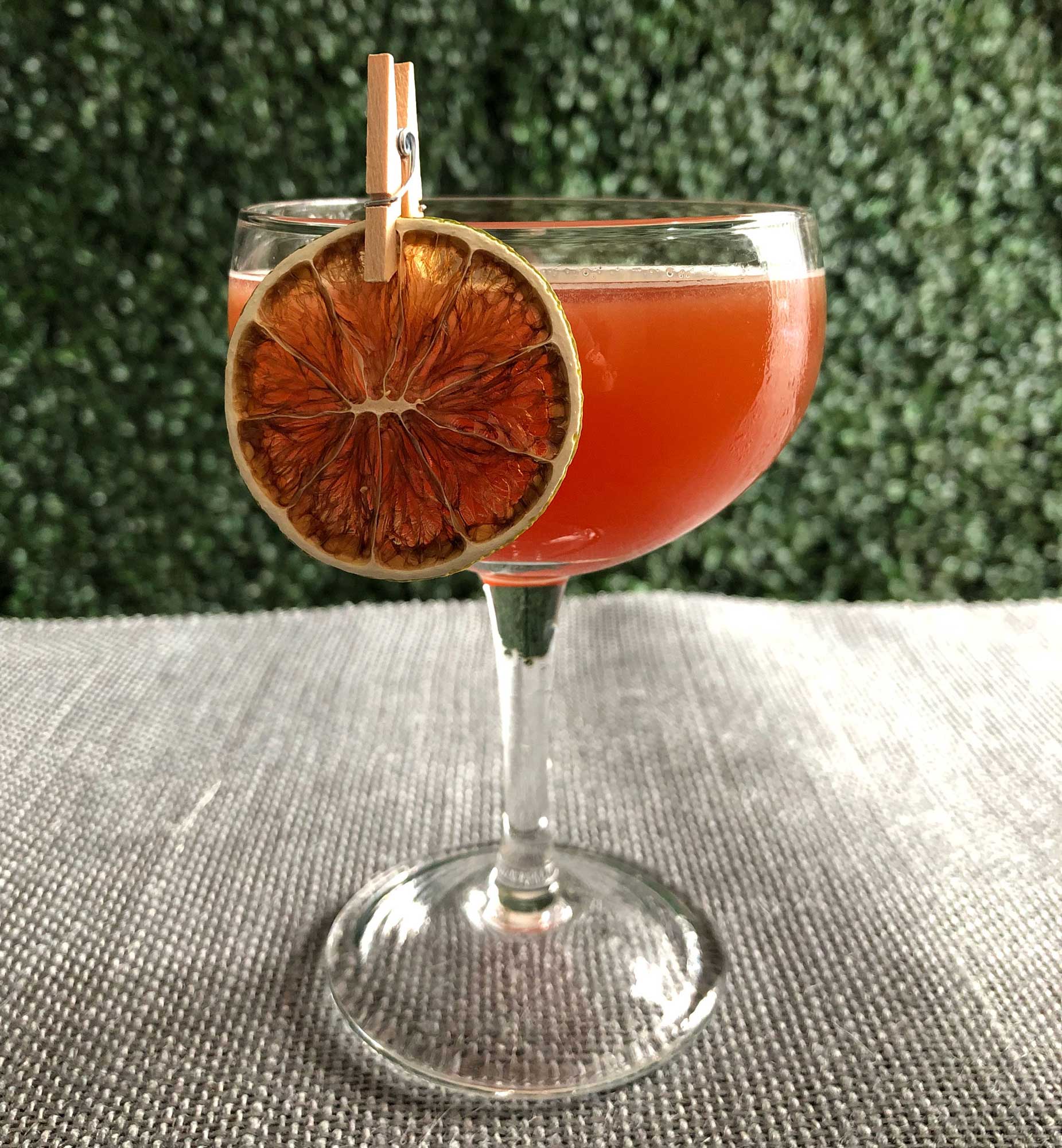 An example of the Mabel Berra, the mixed drink (cocktail) featuring KRONAN Swedish Punsch, Averell Damson Plum Gin Liqueur, and lime juice; photo by Lee Edwards