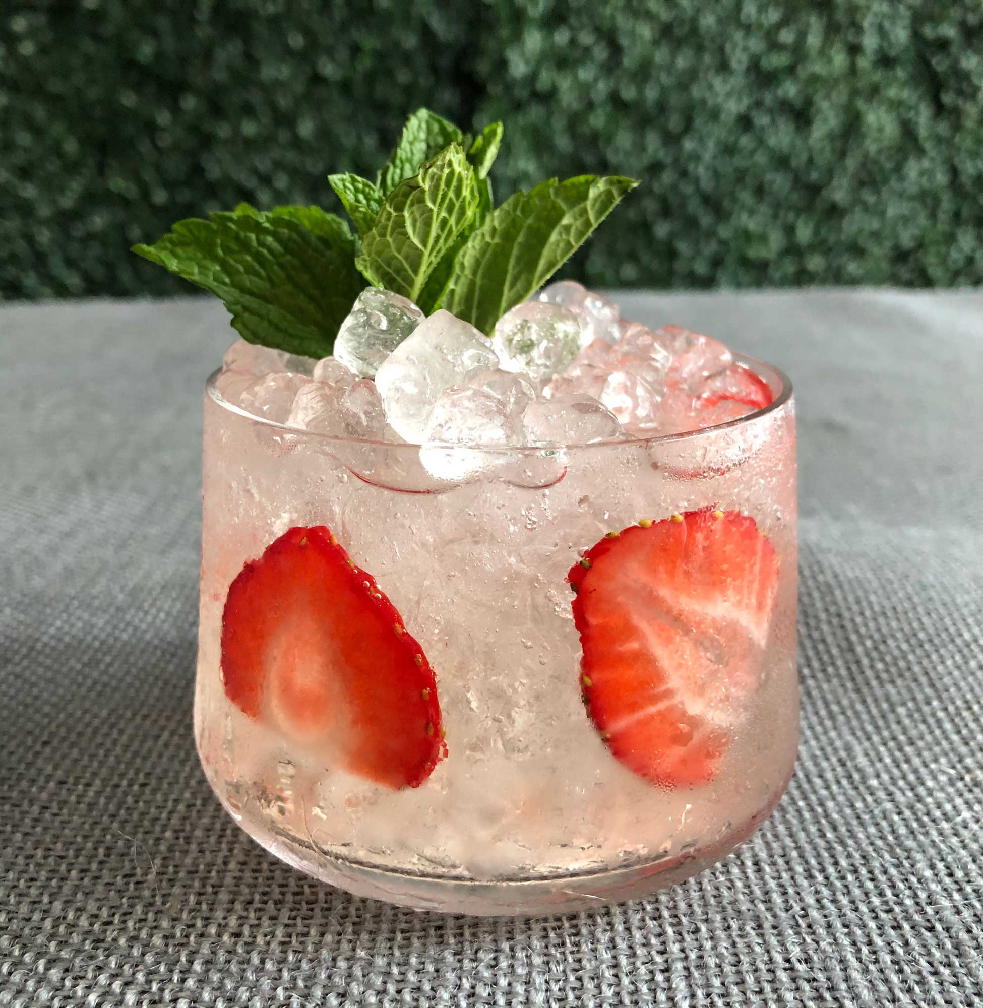 An example of the Savoie Spritz, the mixed drink (cocktail) featuring Comoz Vermouth Blanc, and soda water; photo by Lee Edwards